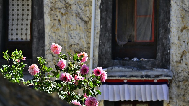 自己套花呗网店_帮客户套花呗