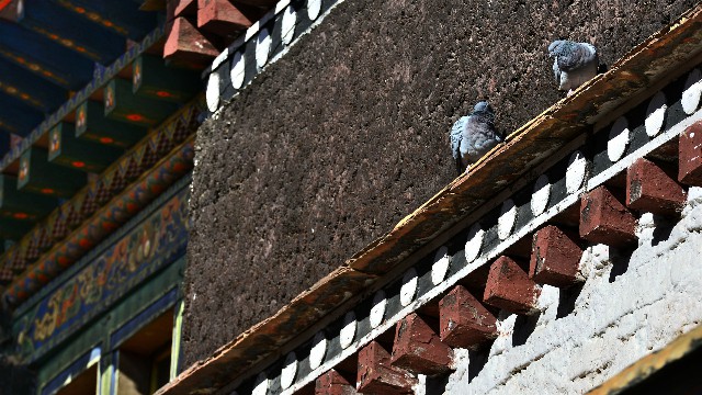 教你快速开通微信花呗_太原白条商家兑现