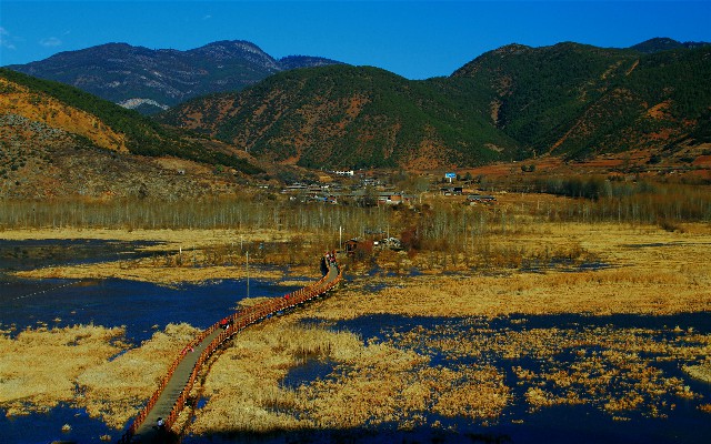 花呗经营套餐_杭州白条套现当面