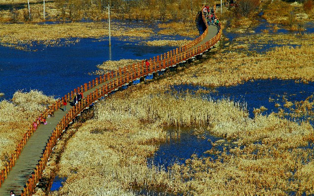 开通花呗不绑银行卡_商家套花呗吗