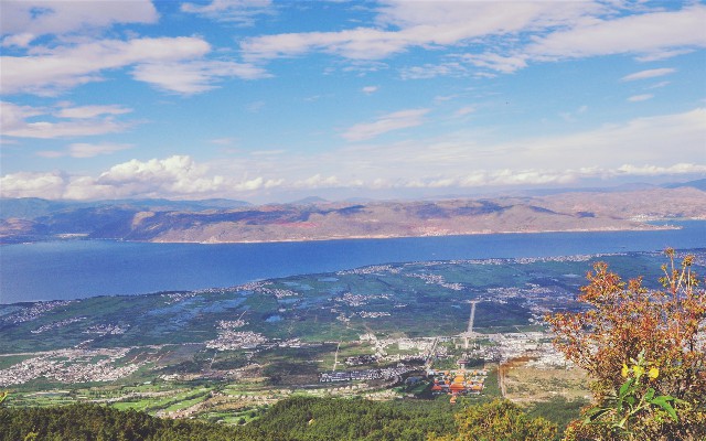 抖音的月付提现在哪里_金条开不了怎么提现白条