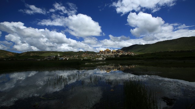 网上套花呗平台_上海医保卡 套现