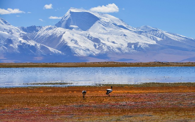 花呗怎么转钱给商家银行_花呗提现口子