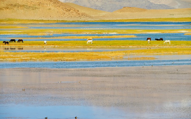 商家抖音怎么取消月付_淘宝套花呗被骗