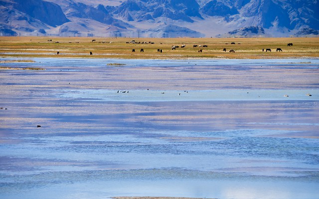 花呗能提现支付宝吗吗_合肥医保余额怎么取出