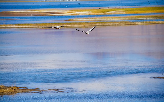 手机微信花呗怎么看_花呗取现 新闻