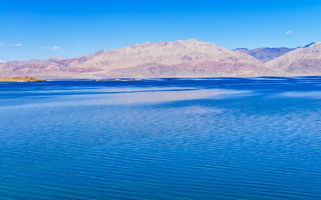 白条变现商品_京东白条取现如何关闭