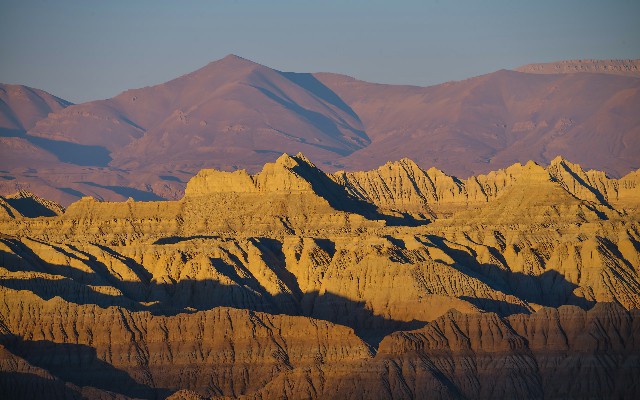 花呗在哪里可以提出来_抖音月付投诉商家