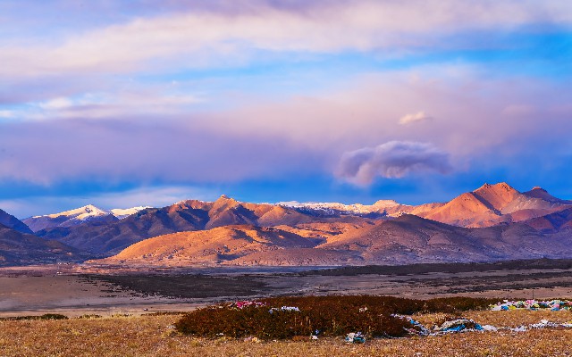 羊小咩分期能提现吗_日照花呗支付宝套现