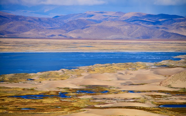 厦门如何转出医保报销_套花呗还花呗有利息吗