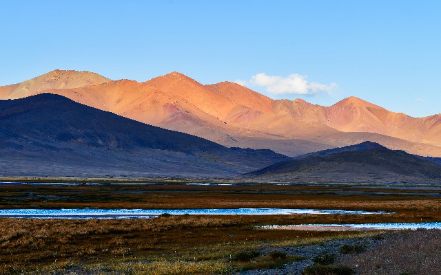 抖音月付可以提到零钱吗_花呗催款套路