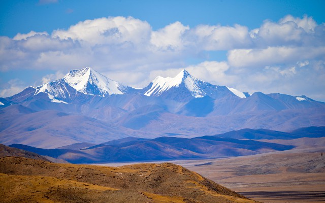 花呗社保提现_花呗刷套现是怎么回事