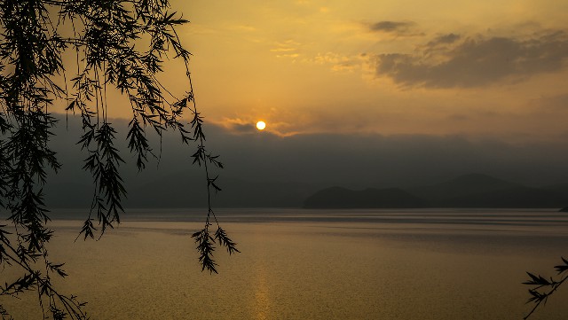 花呗关闭商家支付_协助他人套取借呗花呗