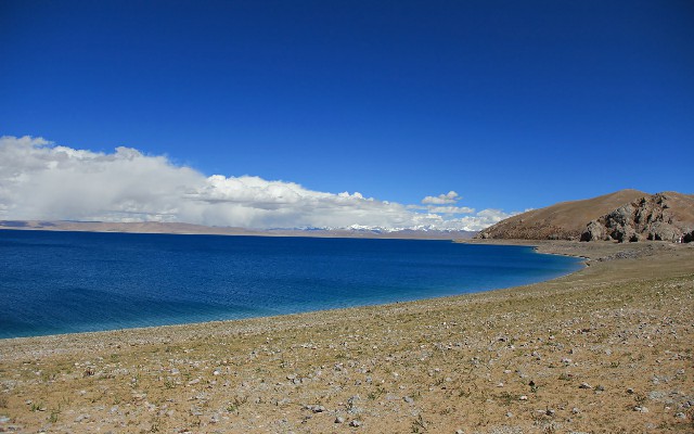 羊小咩购物额度提现秒回款_白条去超市套现