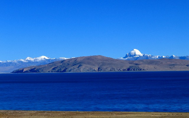 医保余额转出政策最新_羊小咩怎么掏出来