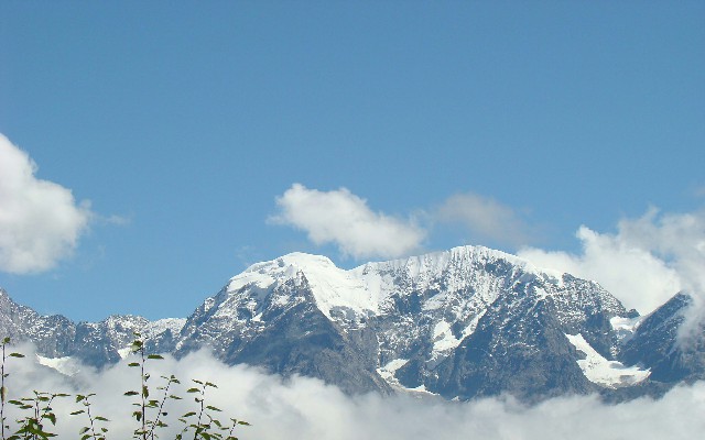 京东白条提现能分几期_白条提现关闭了怎么还款