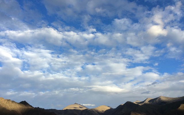 白条怎么啥不能取现_广安医保取现