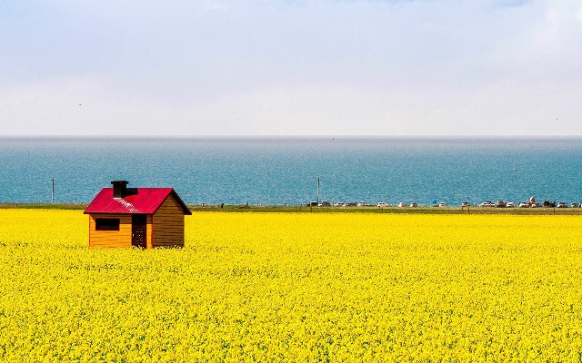 怎样取消商家花呗_花呗领商家额度在哪里