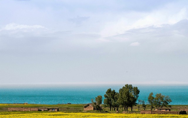 商家花呗200_银行可以取现医保吗