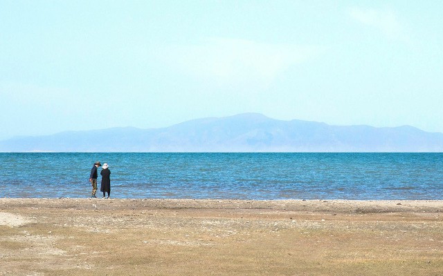 羊小咩套现2022_白条套现店铺