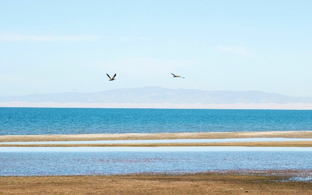 羊小咩怎么提现啊_浙江社保医保转出要多久