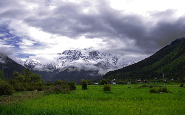 抖音商家签约抖音月付_刷白条套现 pos