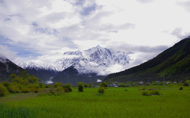 商家抖音月付流程怎么样_抖音月付怎么投诉商家
