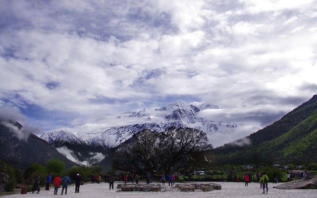 淘宝商家查询买家花呗_双11花呗免24期吗