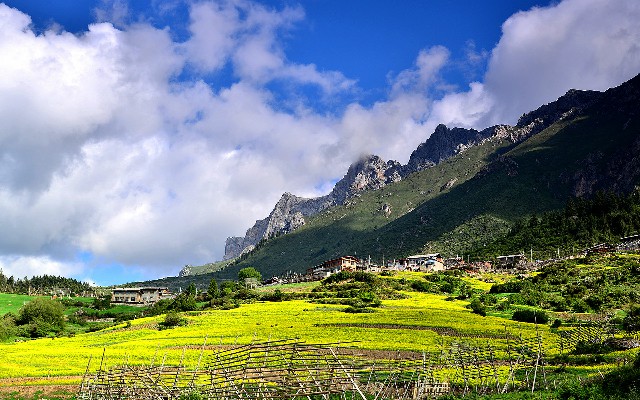 羊小咩 出库 回款_白条套现的利息