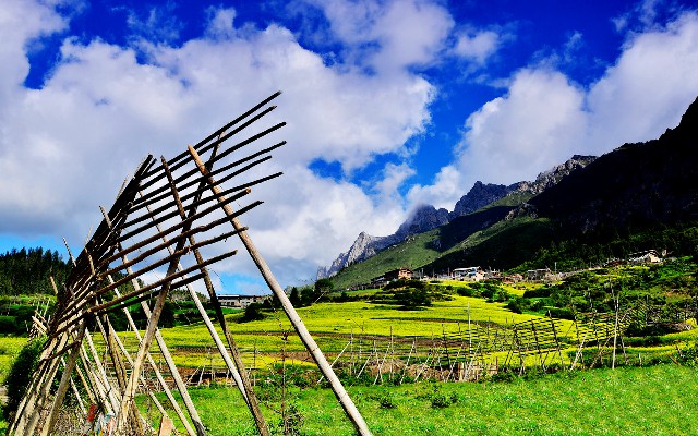 花呗套了现金_花呗怎样算是套现