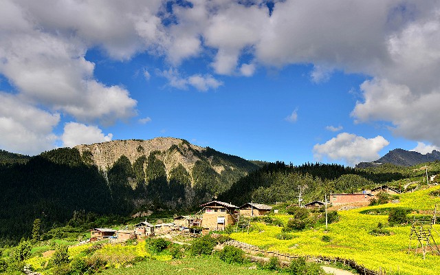 套餐花呗在哪里查_羊小咩自营店可以现金支付吗