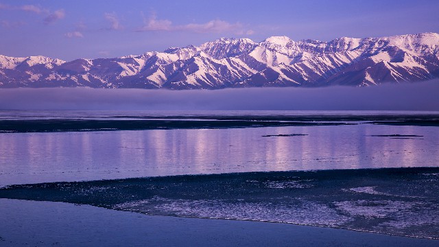月付抖音金币能提现吗_广州羊小咩提现