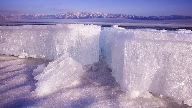 花呗商家码怎么扣费_抖音月付附近有哪些商家
