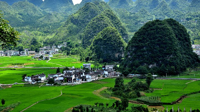 上饶花呗提现_京东白条提现点击哪里
