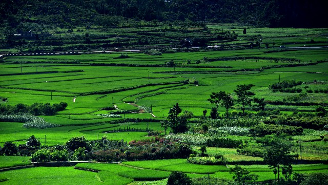 羊小咩的享花卡提现_羊小咩享花卡如何套现