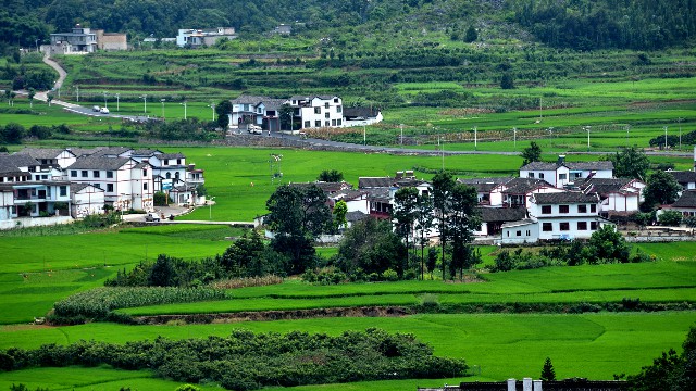 花呗还能怎么套现_京东白条金库怎么取出来