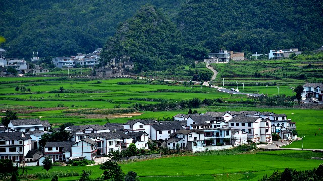 京东白条还能取出吗现在_淘宝怎么套现白条