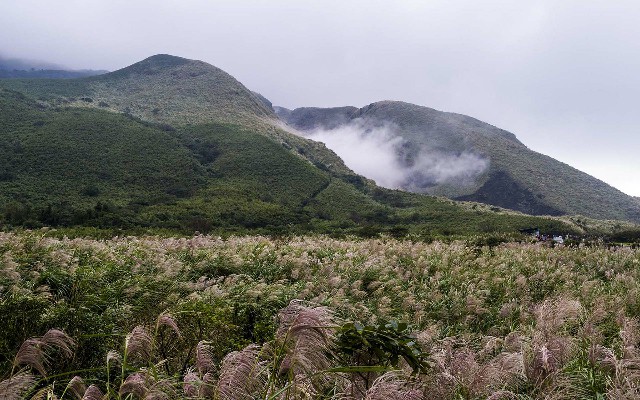 花呗套路曝光_蚂蚁花呗自套
