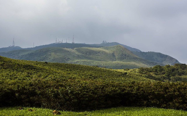 花呗授权商家额度_羊小咩如何快速提现