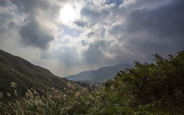 抖音月付平台商家能用吗_从花呗怎么提现