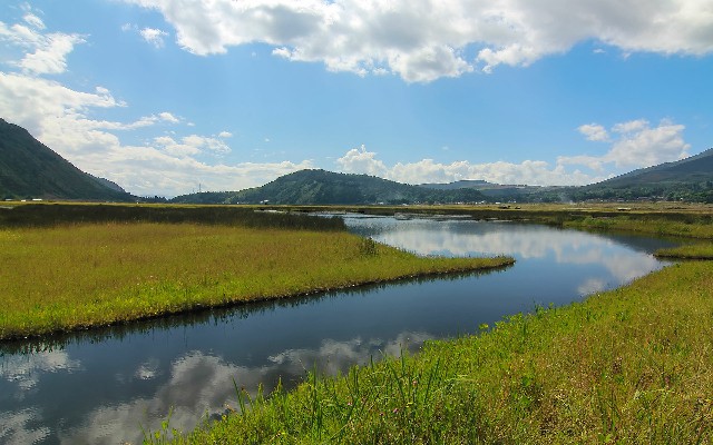 仙桃抖音月付套现多少_羊小咩20000怎么提