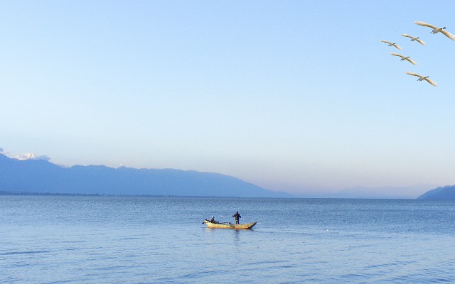 花呗套10000_花呗如何快速付款给商家