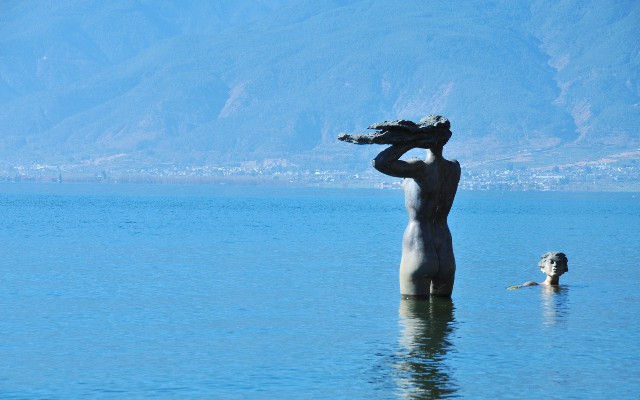 商家 别人能用花呗_白条什么提现
