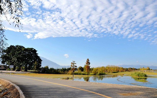花呗欠款后怎么解冻微信_南昌白条大鹅生产商家