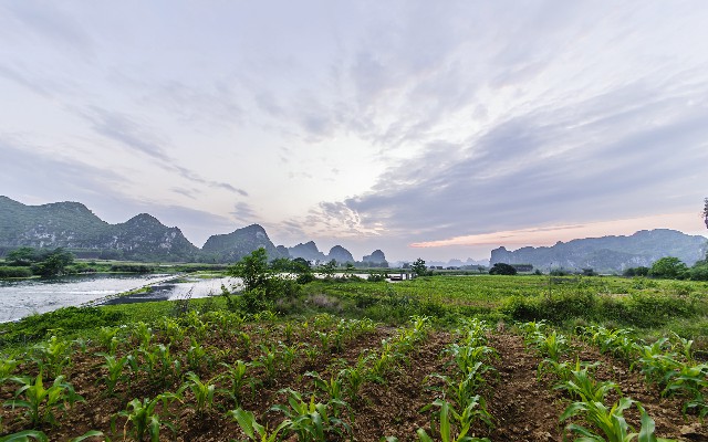 咸鱼白条套现_精河医保套现