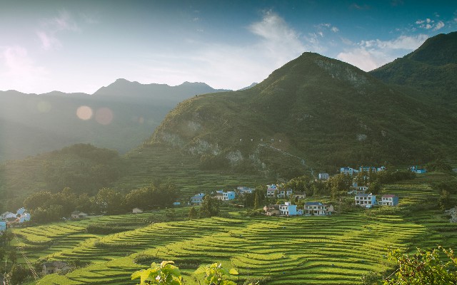 京东白条可以每天提现吗_医保人员转出统筹范围