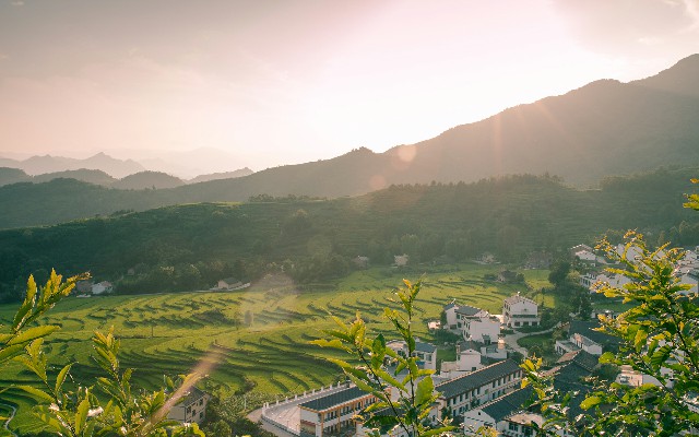 杭州医保线下提现额度_抖音月付怎么在商家消费