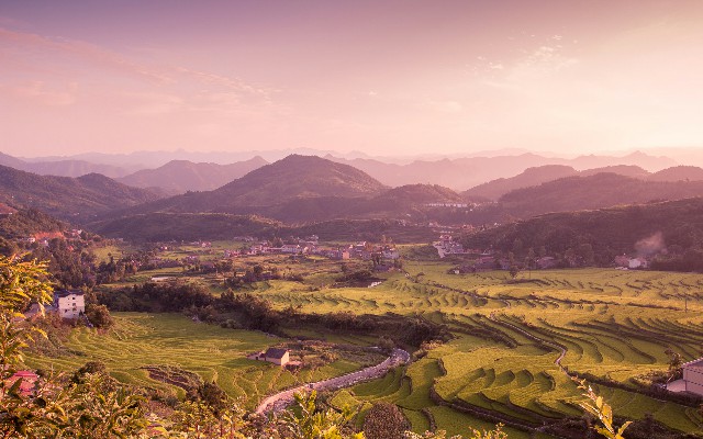 白条取现是针对京东金融_羊小咩套出来怎样收费