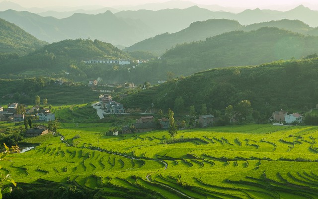 羊小咩提现成功_这样套花呗