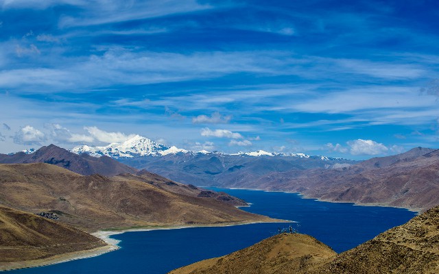 甜橙白条取出冻结_重庆职工医保转出流程